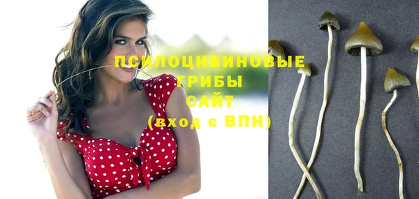 мет Калининец